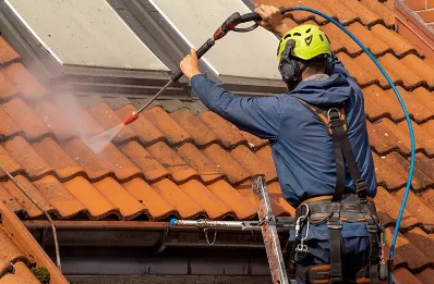 Démoussage et hydrofuge de toiture à Bressieux